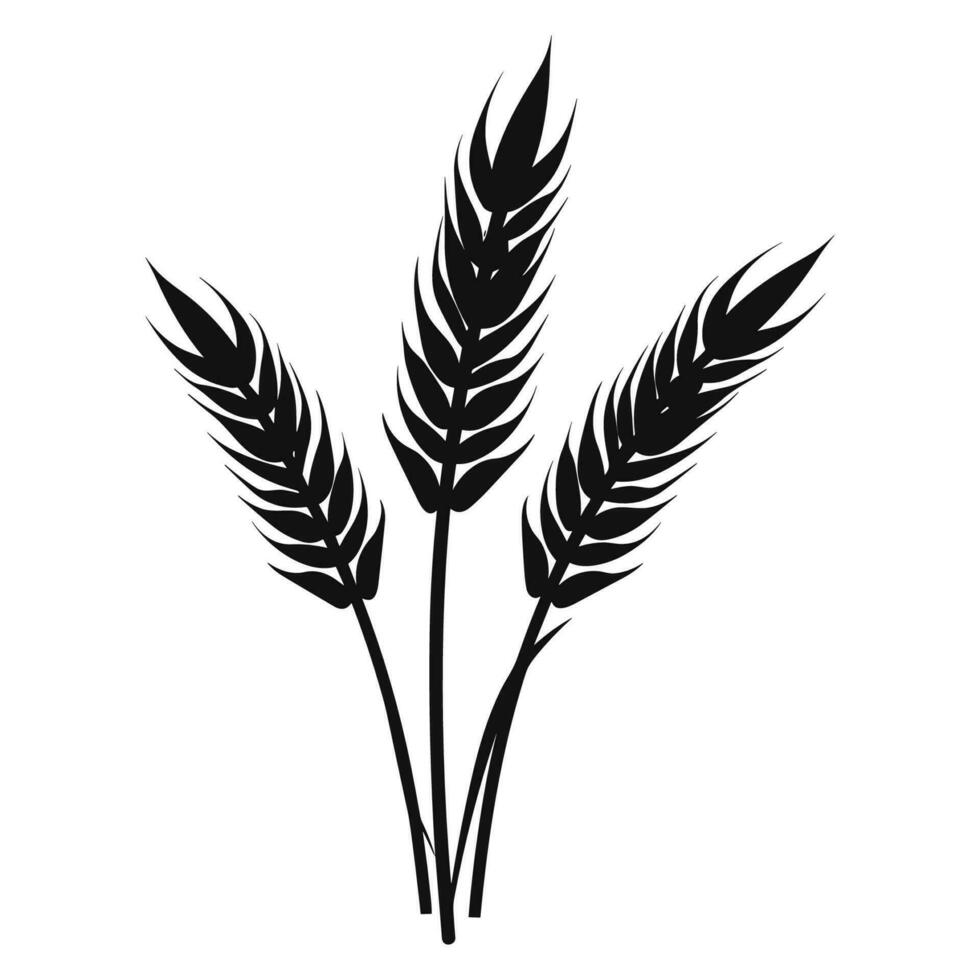 Wheat ears Vector isolated on a wHite background, A Wheat grain silhouette
