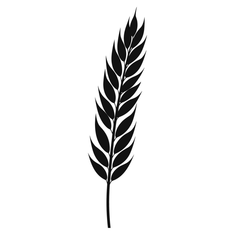 Wheat ears Vector isolated on a wHite background, A Wheat grain silhouette