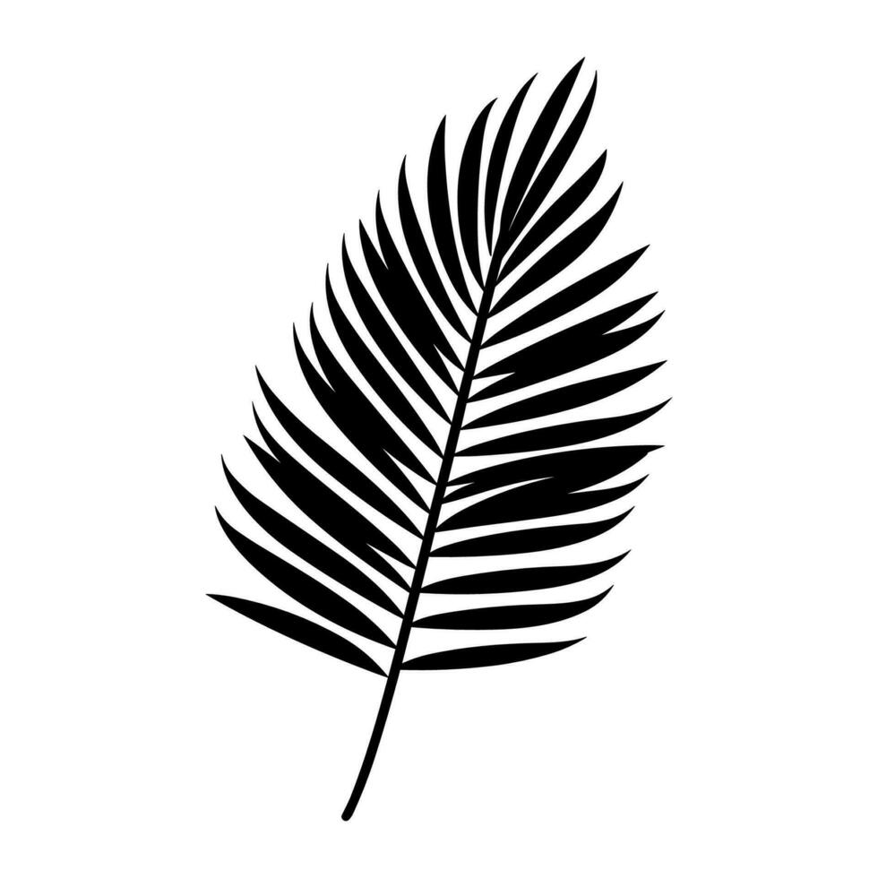 A Palm Tree Leaf Silhouette vector free