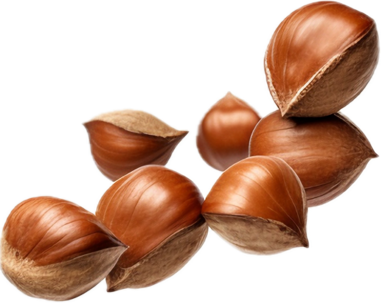 AI generated falling whole hazelnuts png