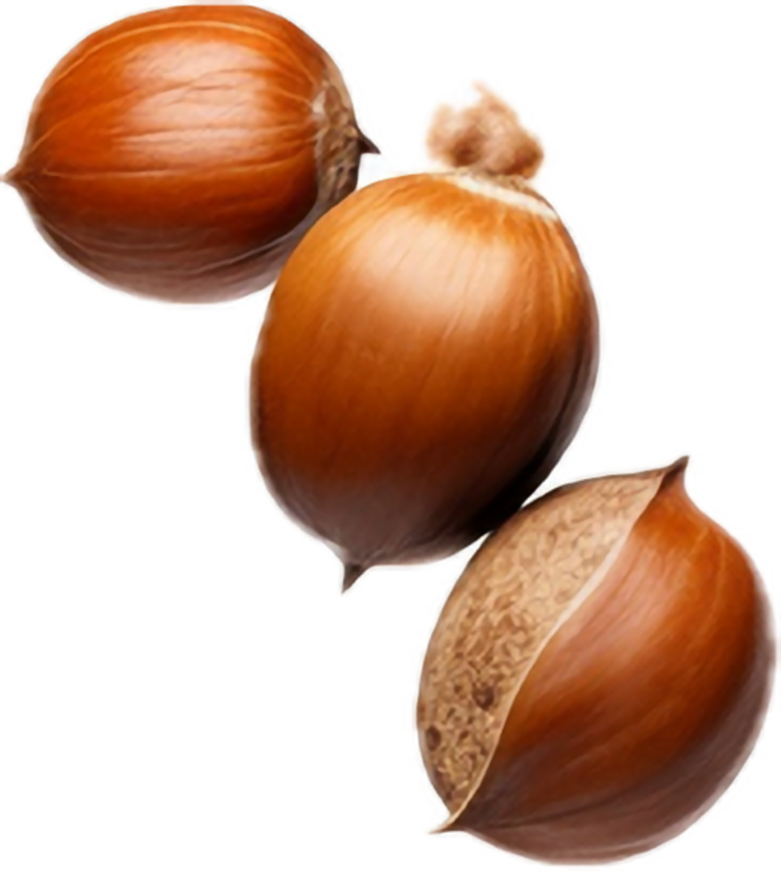 AI generated falling whole hazelnuts png