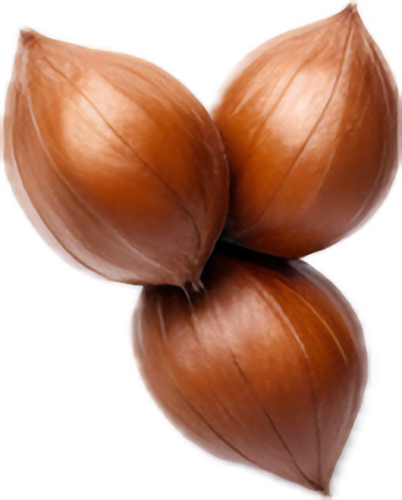 AI generated falling whole hazelnuts png