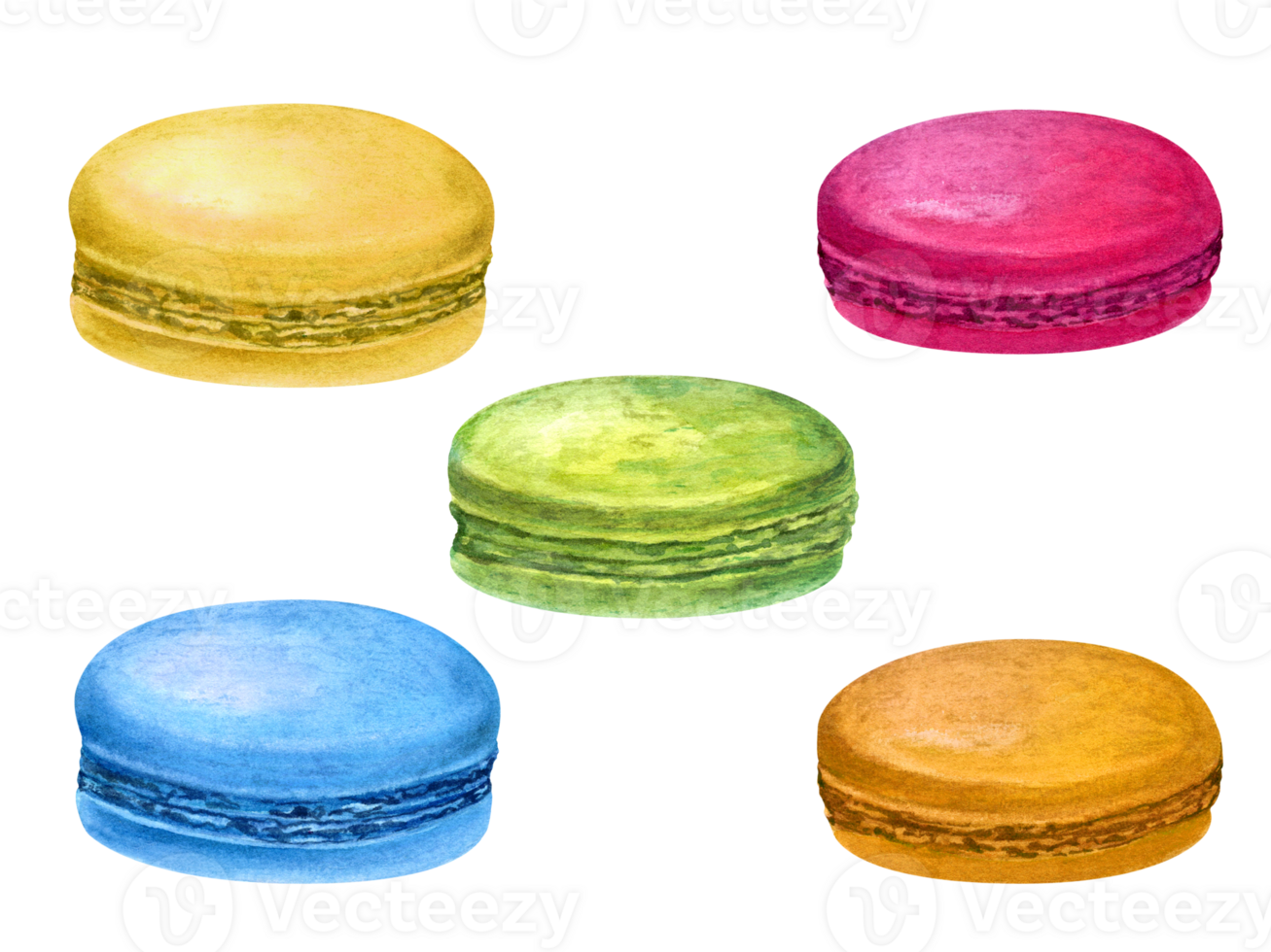 Traditional French macarons. Colorful Almond cookies, macaroon cake. Blue, green and red sweet dessert. Watercolor illustration. For package, menu, recipe, label png