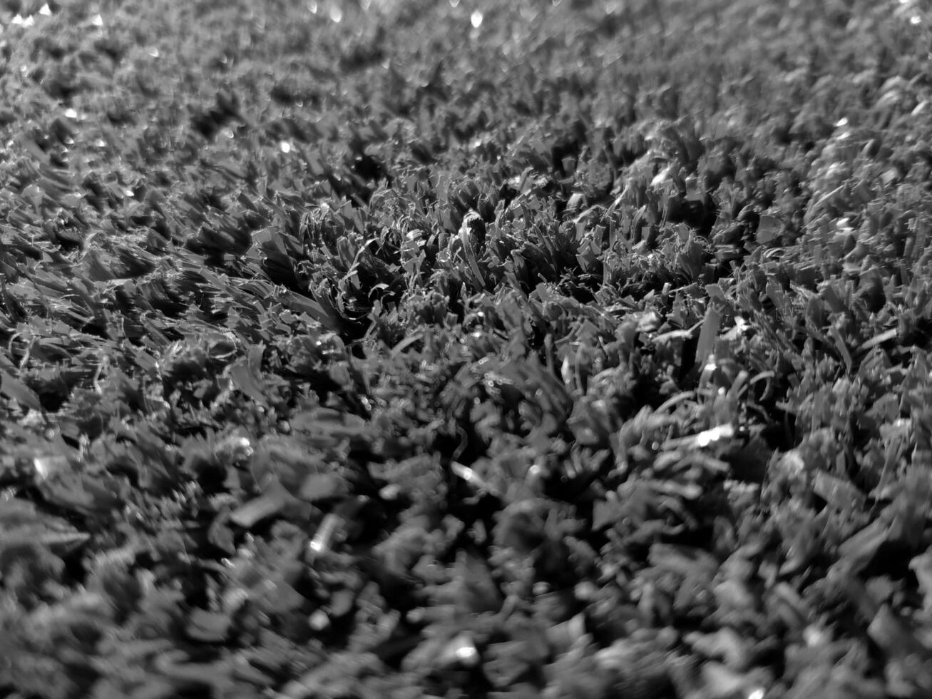 Black and white grass background close view, grayscale grass photo