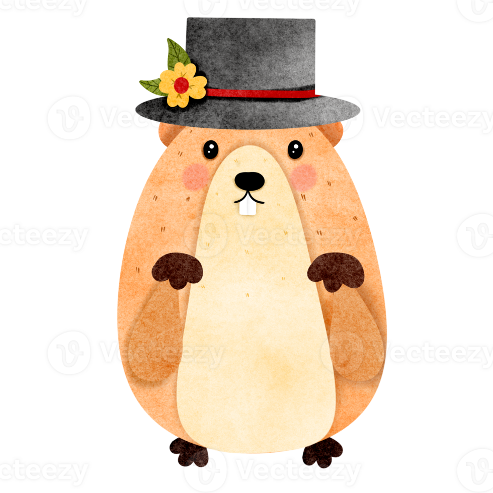 Groundhog hand drawn png