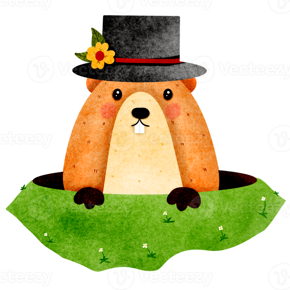 Groundhog hand drawn png