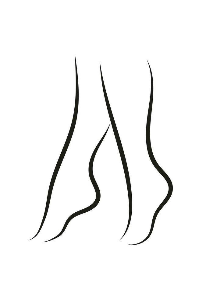 Elegant silhouette of women's legs in minimalistic style. for business cards, advertising, printing. vector. isolated on white background. vector