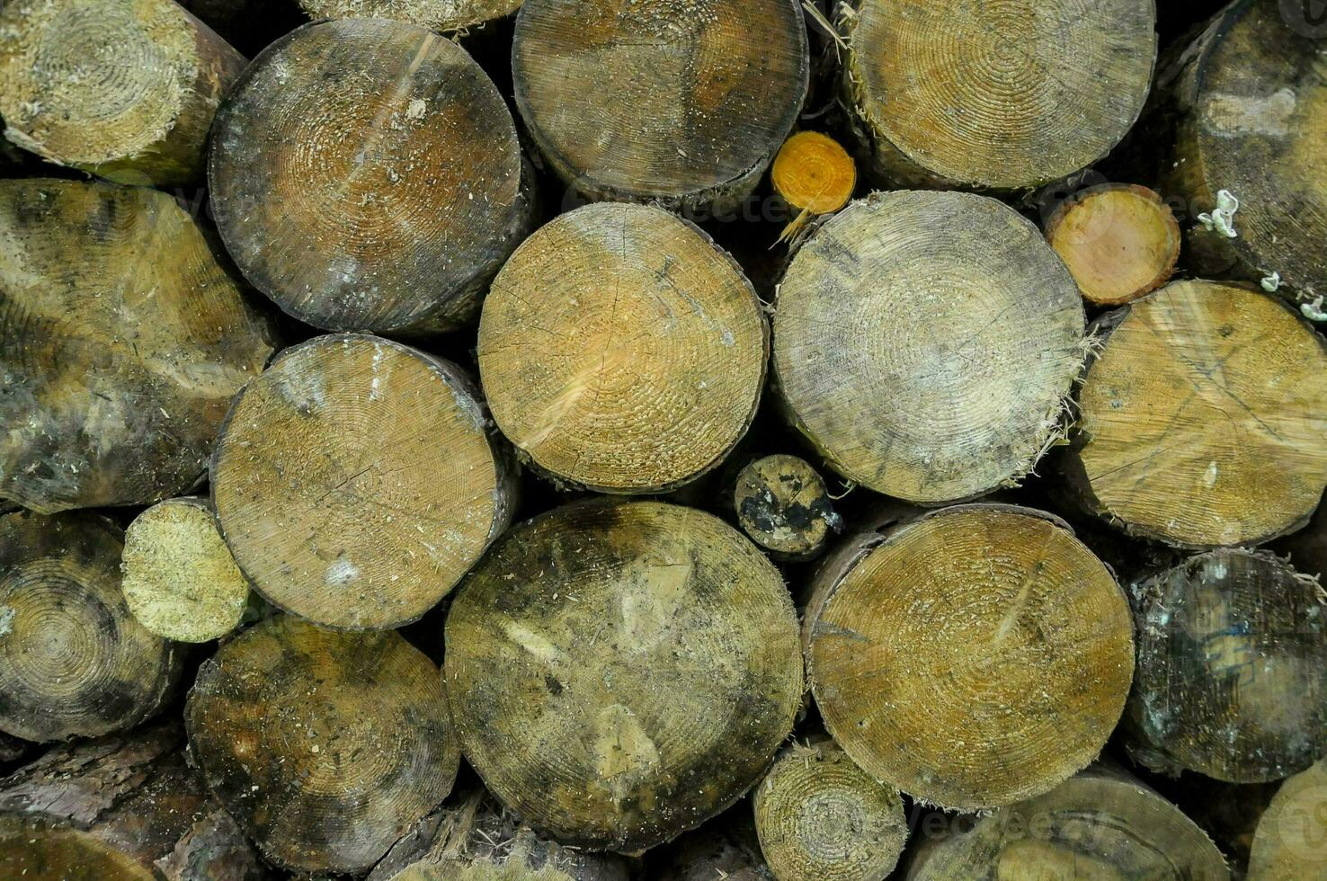 a pile of logs with a yellow circle on top photo