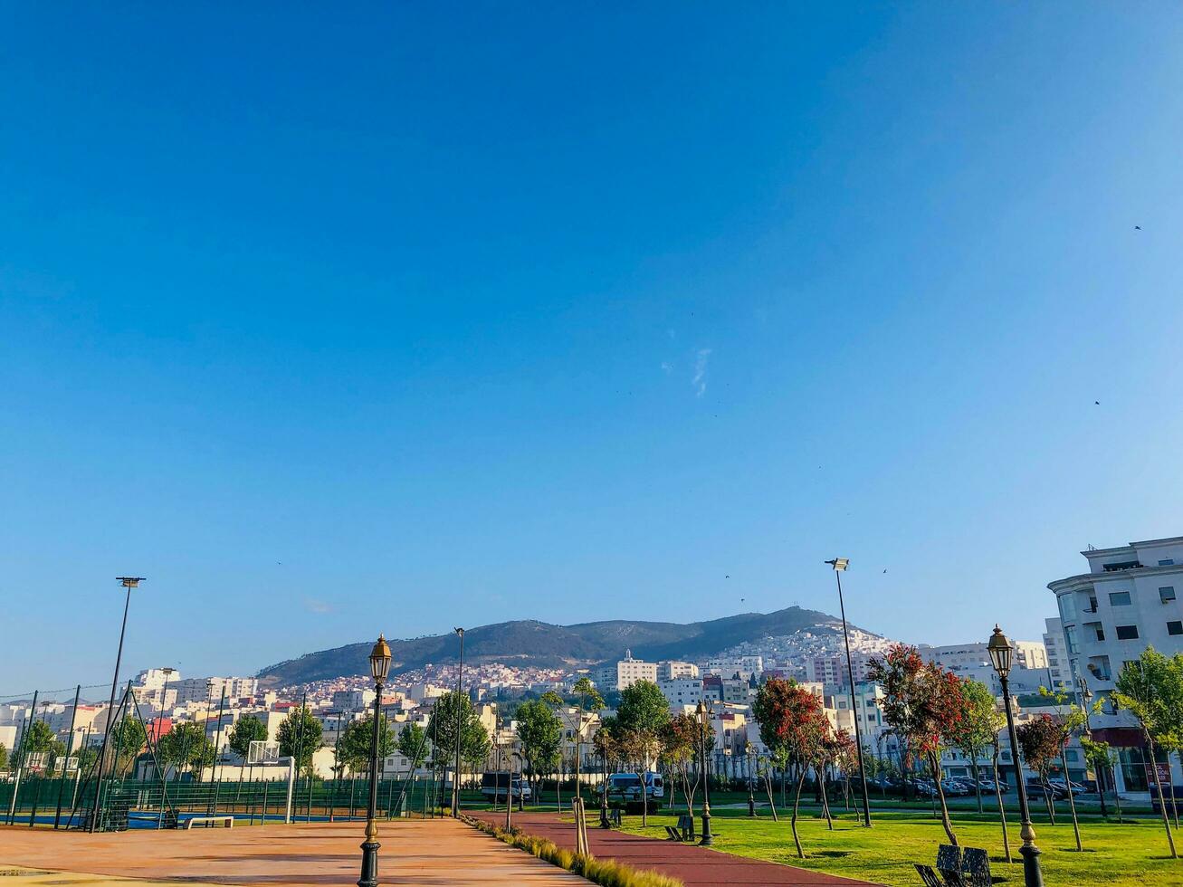 a park with a city in the background photo
