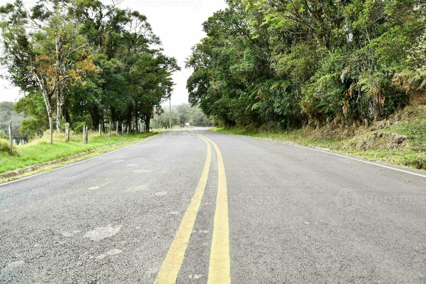 an empty road with yellow lines on it photo