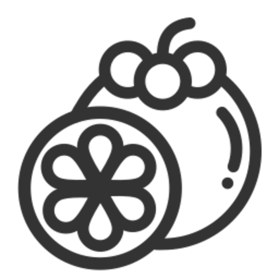 Mangosteen illustration design png