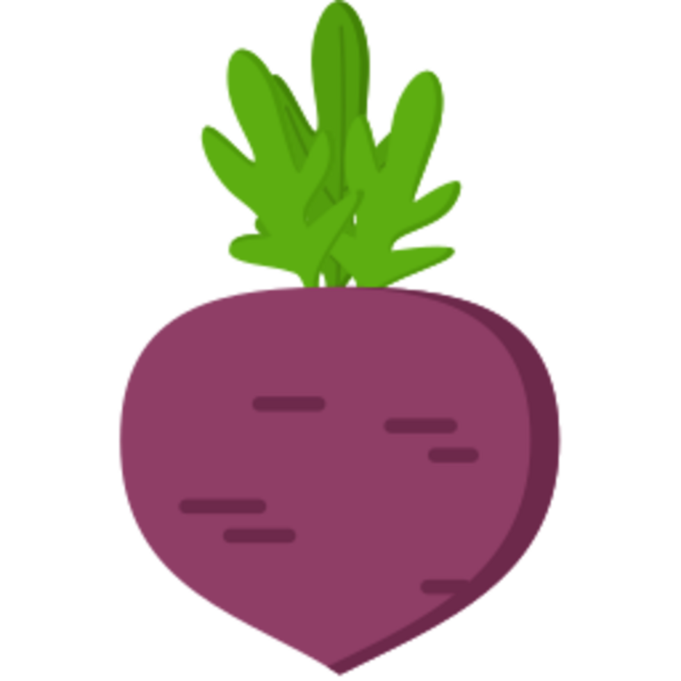 Radish illustration design png