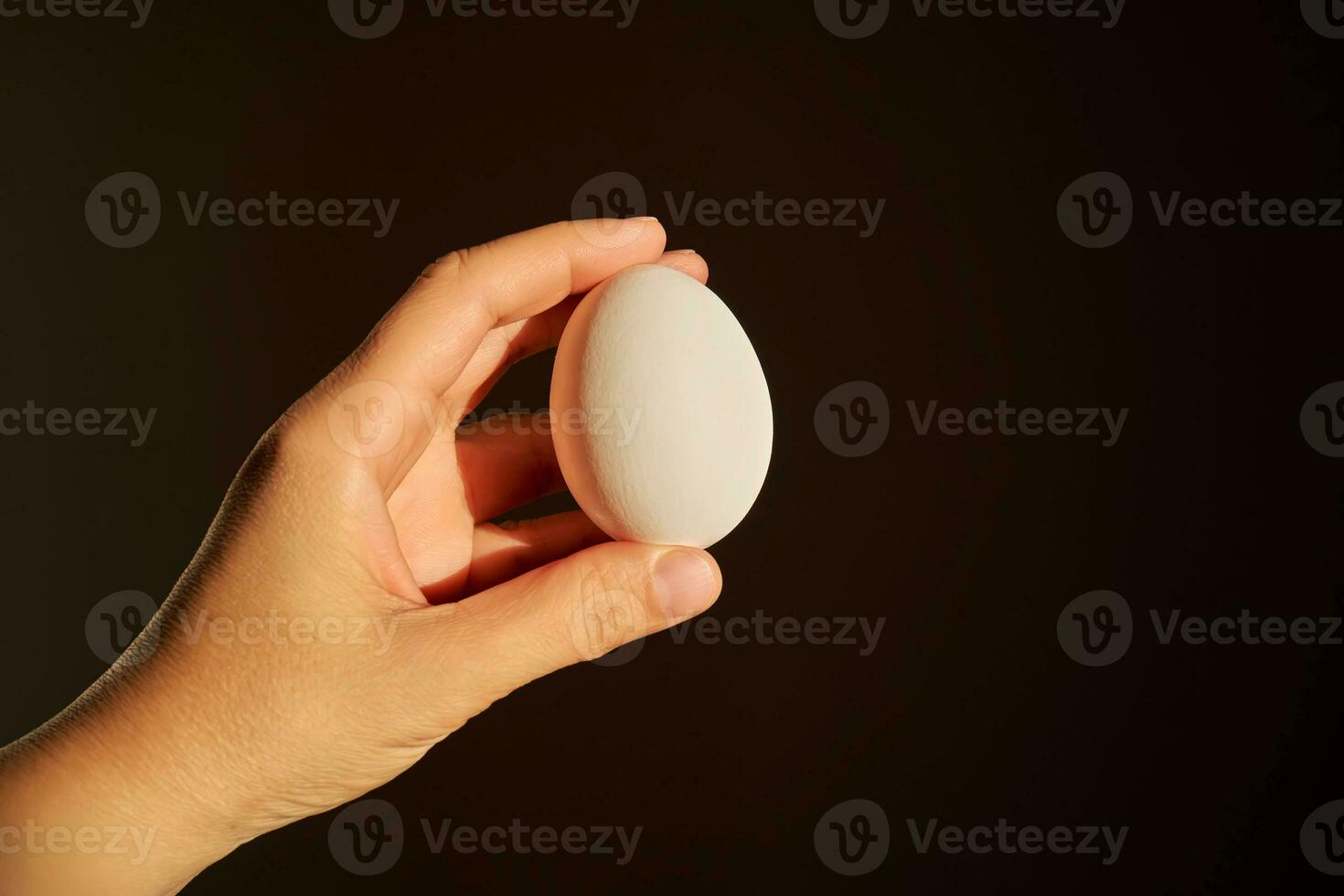 White chicken egg in a woman's hand. photo