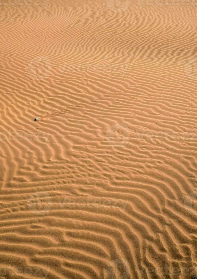 a lone rock in the sand dunes of the sahara desert photo
