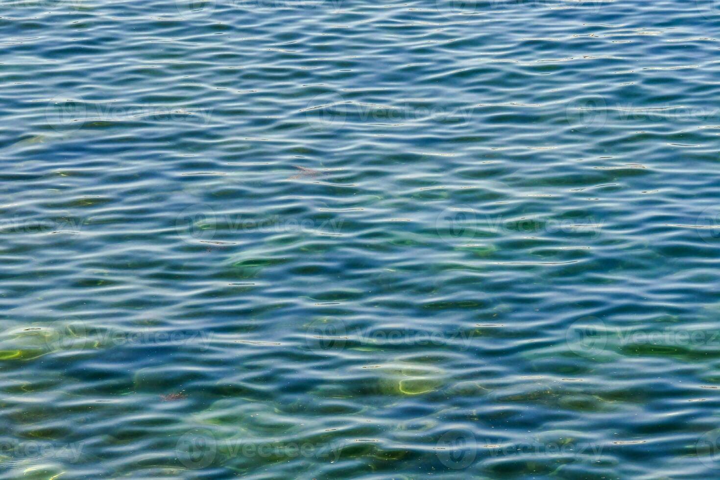the surface of the water is clear and blue photo