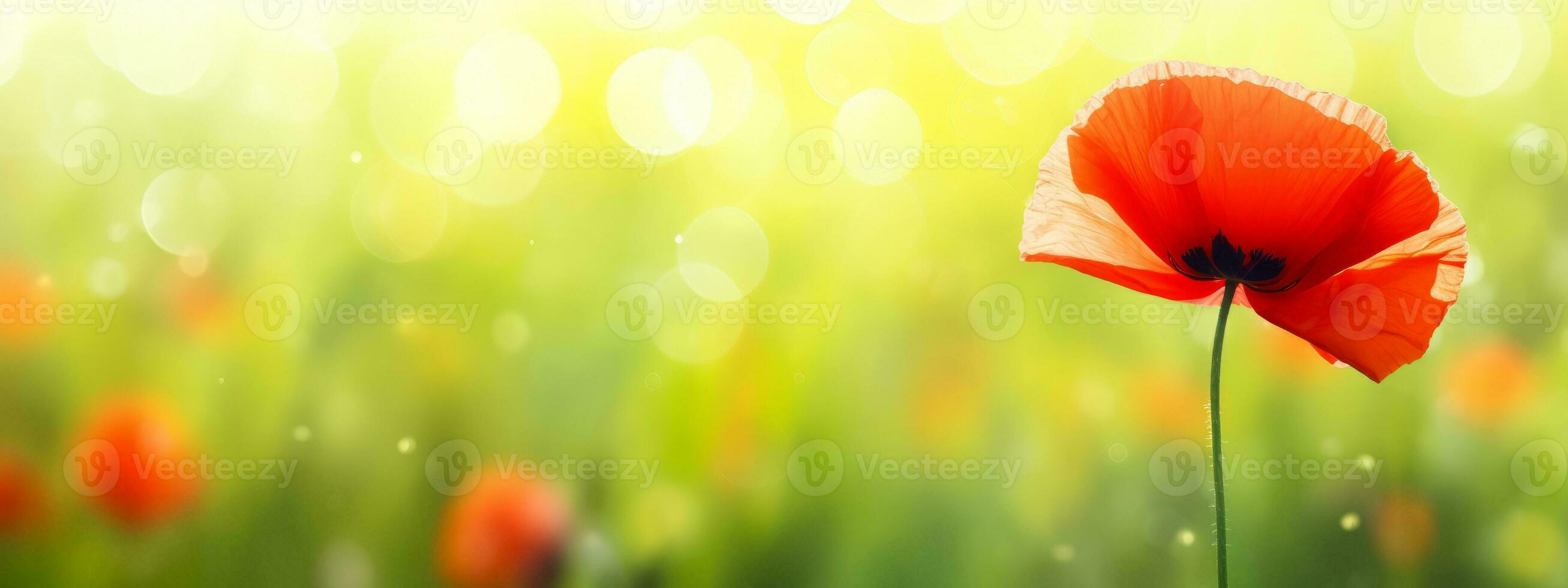 AI generated Red poppy in a field with green blurred bokeh background photo