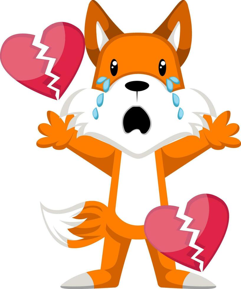 Fox with broken heart, illustration, vector on white background.