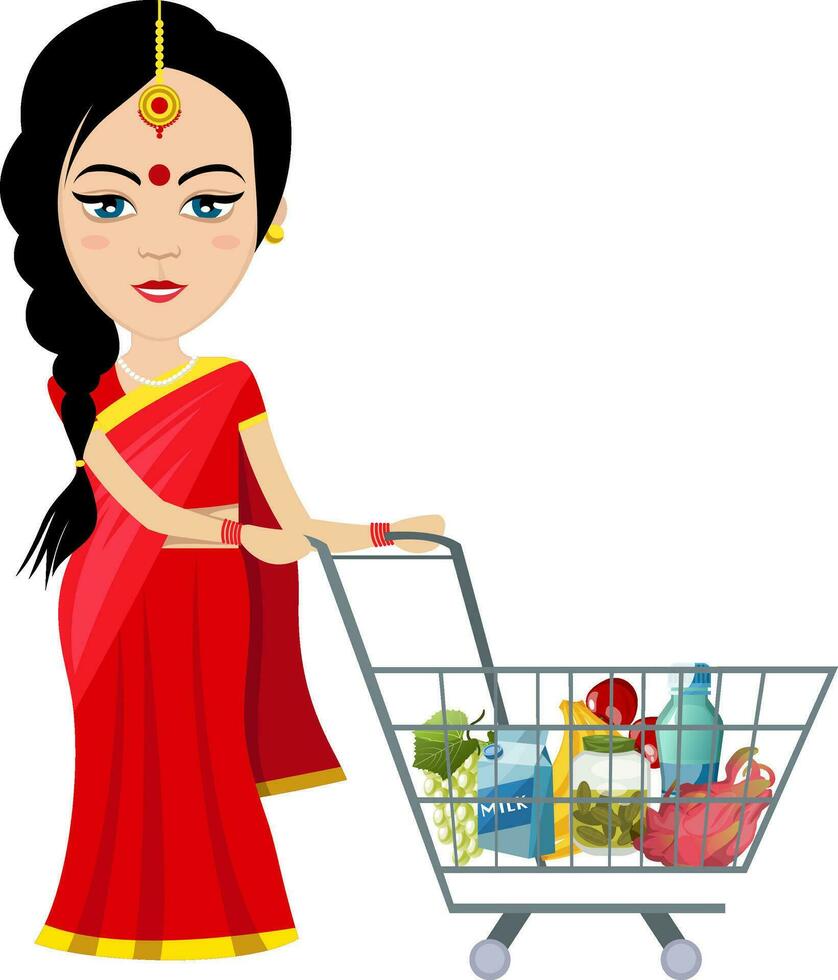 mujer india compras , ilustración, vector sobre fondo blanco.