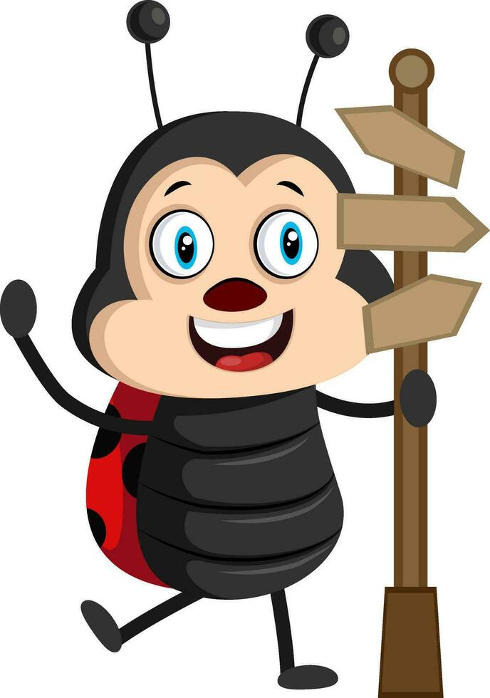 Lady bug with road sign, illustration, vector on white background.