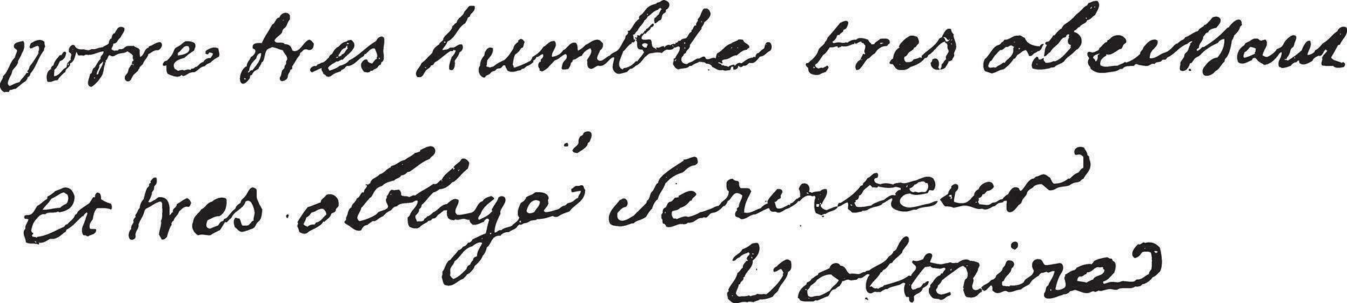 Signature of Francois-Marie Arouet or Voltaire  1694-1778, vintage engraving. vector