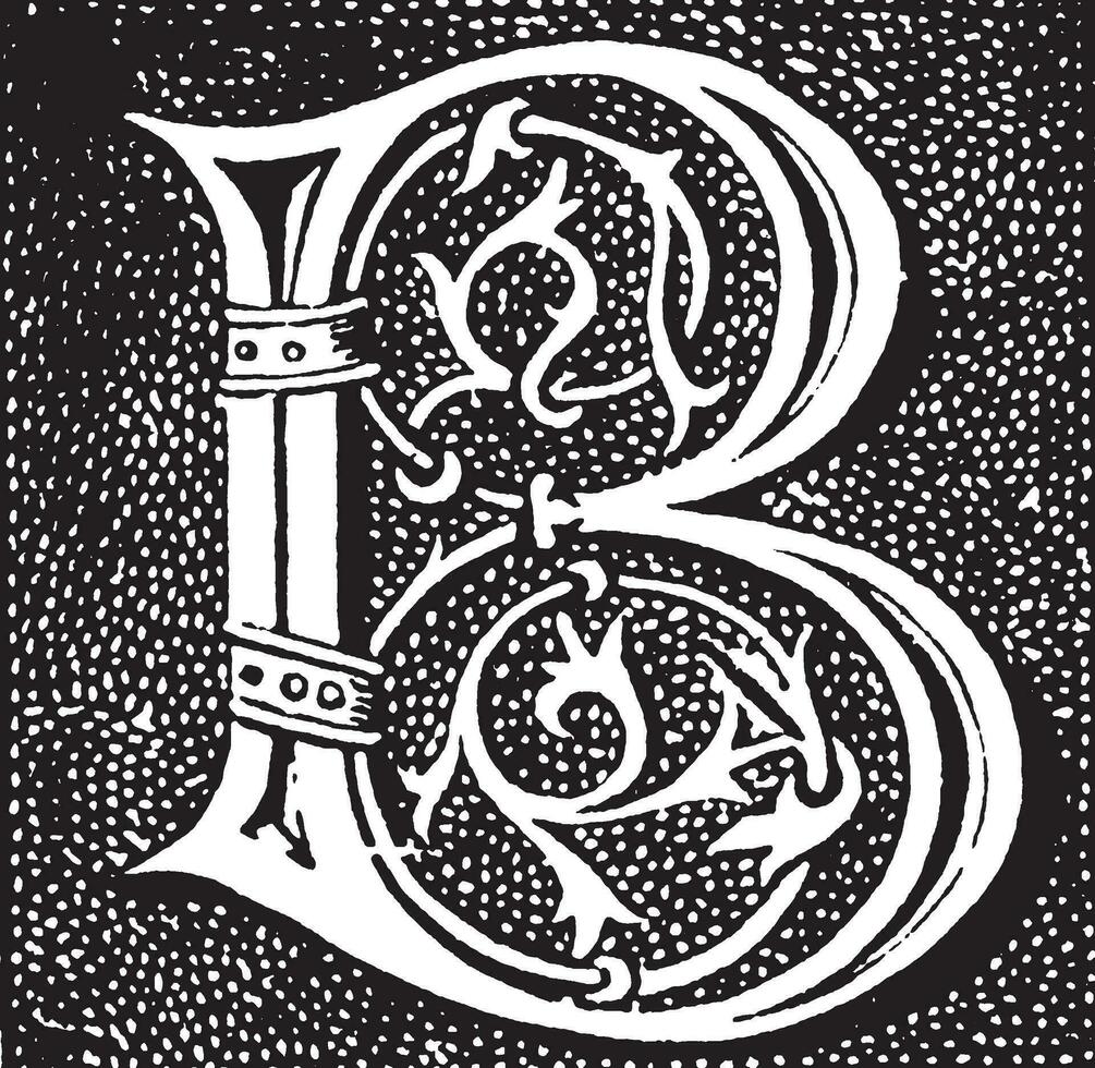 b, inicial adornada, ilustración vintage vector