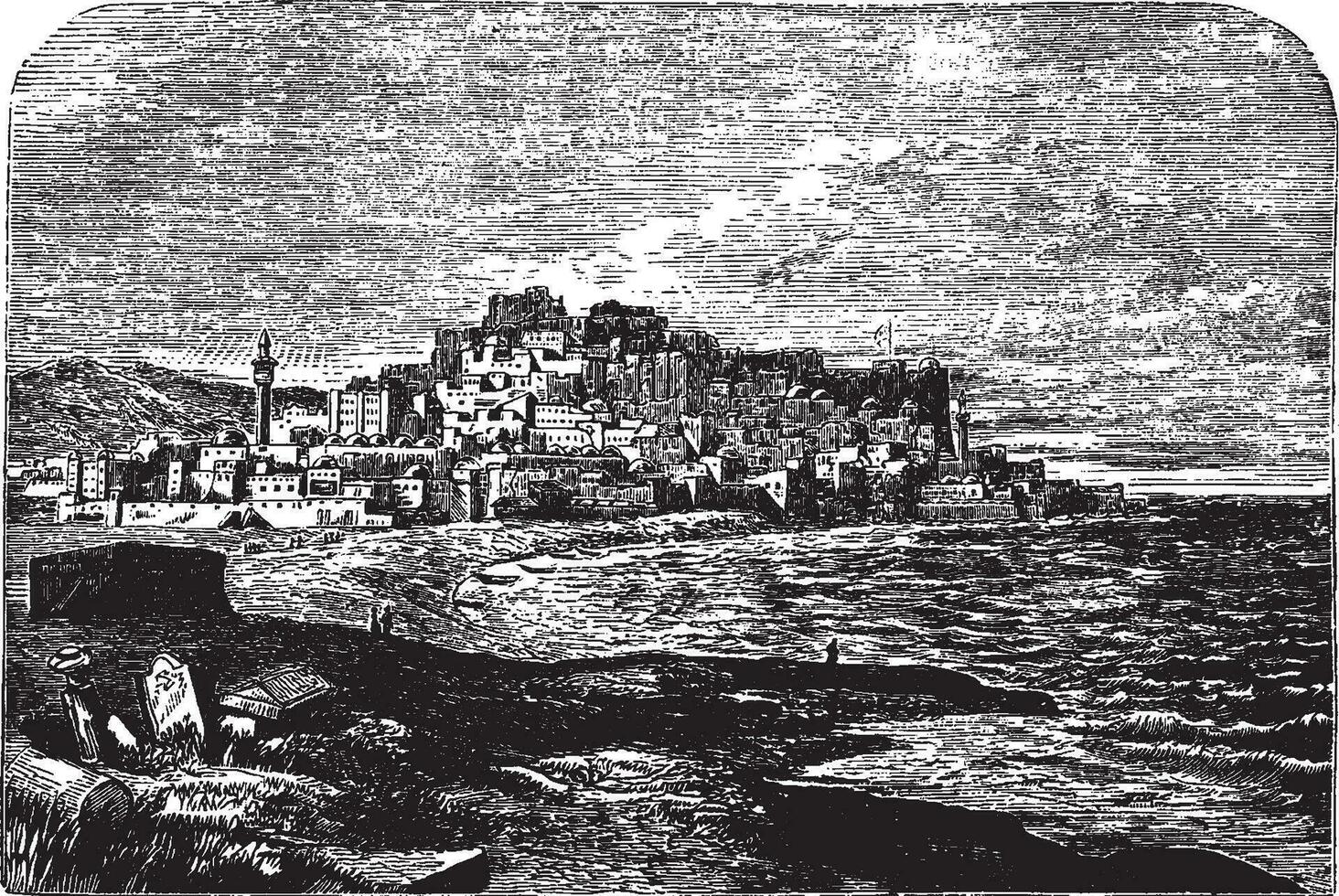 Jaffa, vintage illustration. vector