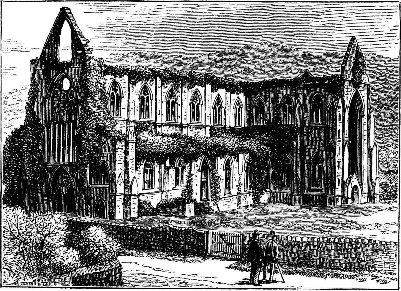 Tintern Abbey of Cisternian, vintage illustration. vector