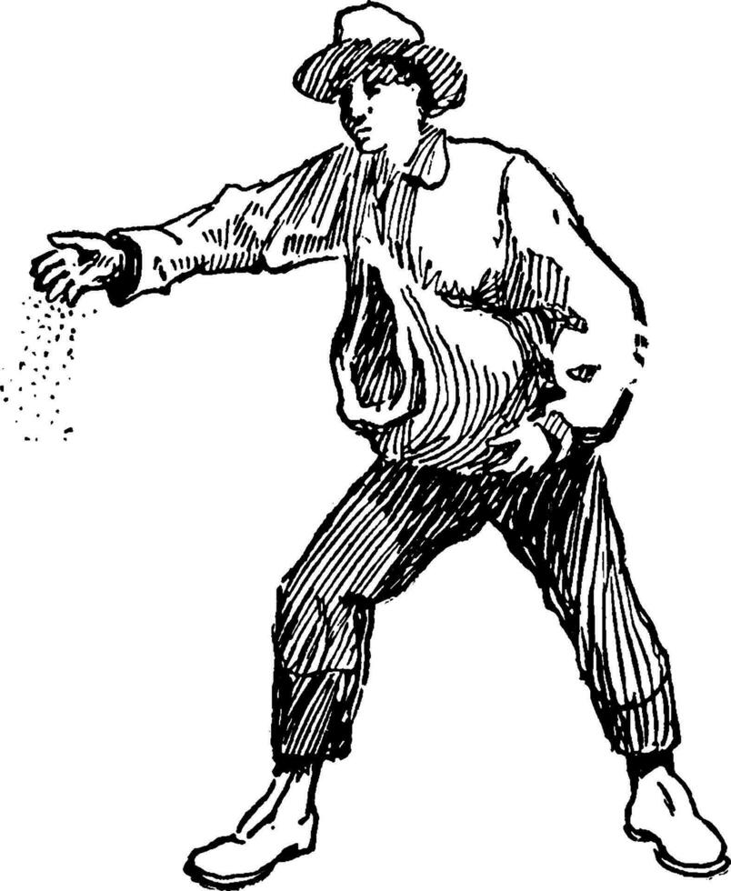 Sower, vintage illustration vector