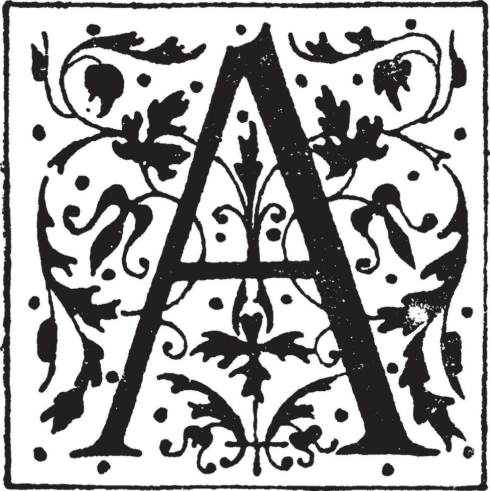 A, Ornate, vintage illustration vector