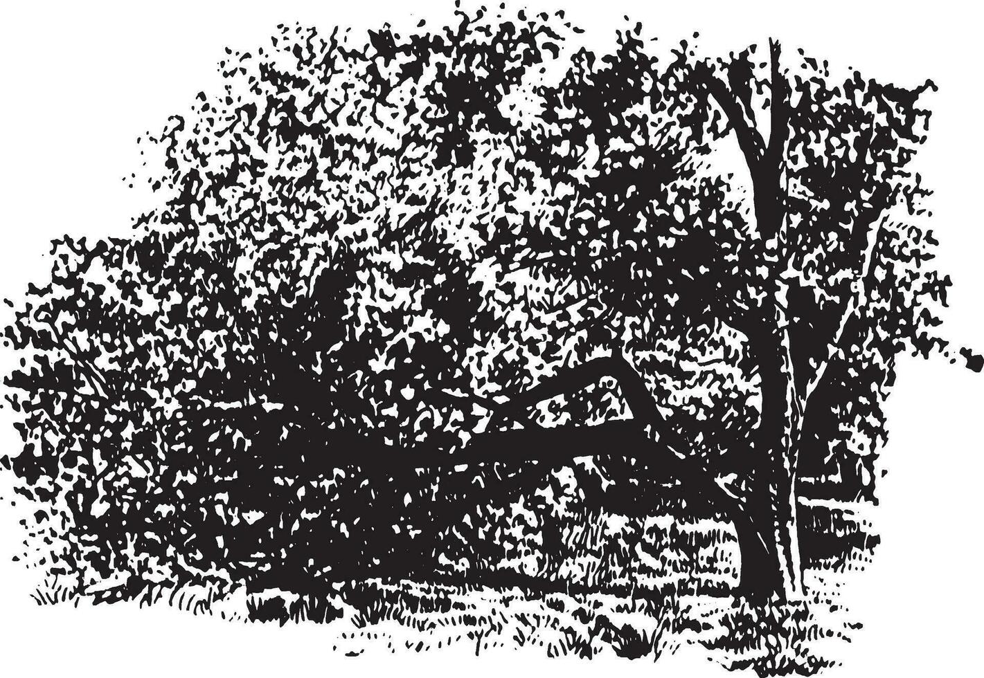 un árbol, estropeado terminado Clásico ilustración. vector