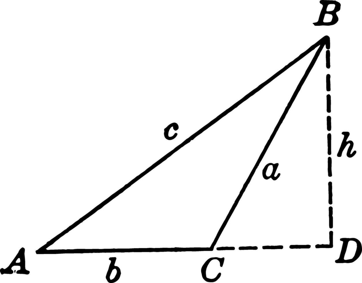 Obtuse Triangle ABC With Height h
 vintage illustration. vector