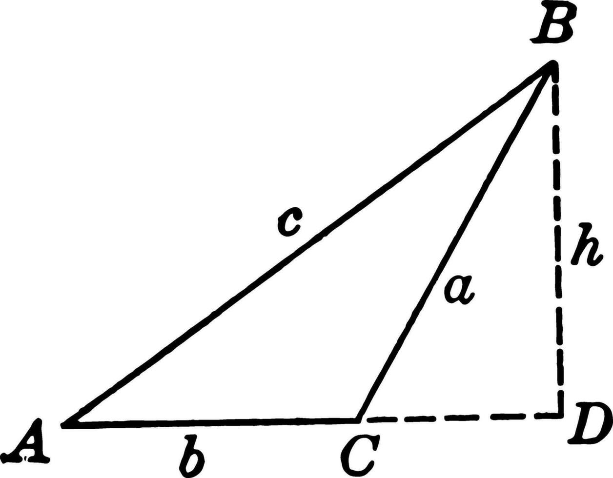 obtuso triángulo a B C con altura h Clásico ilustración. vector