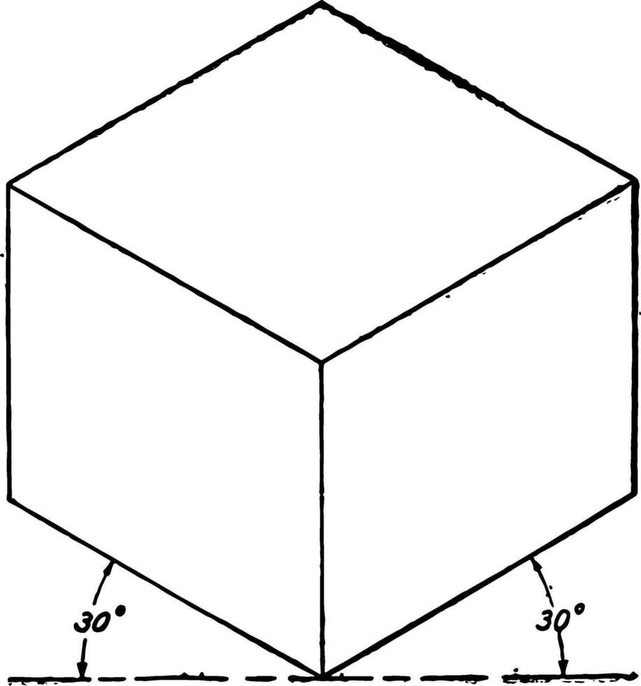 Isometric of a Cube vintage illustration. vector