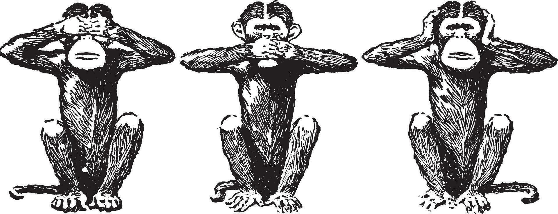 Tres sabio monos, Clásico ilustración. vector