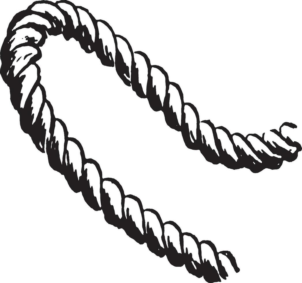 Rope, vintage illustration. vector