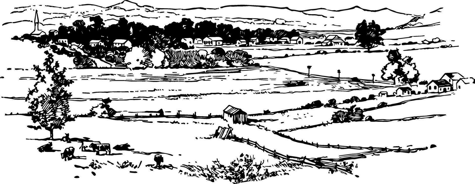 Battlefield of Franklin vintage illustration vector