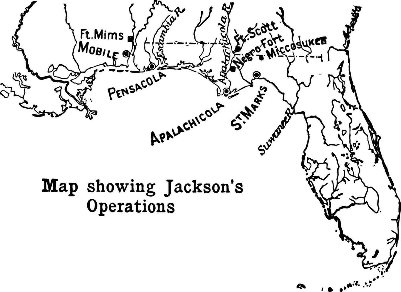 Andrew Jackson's Operations vintage illustration vector