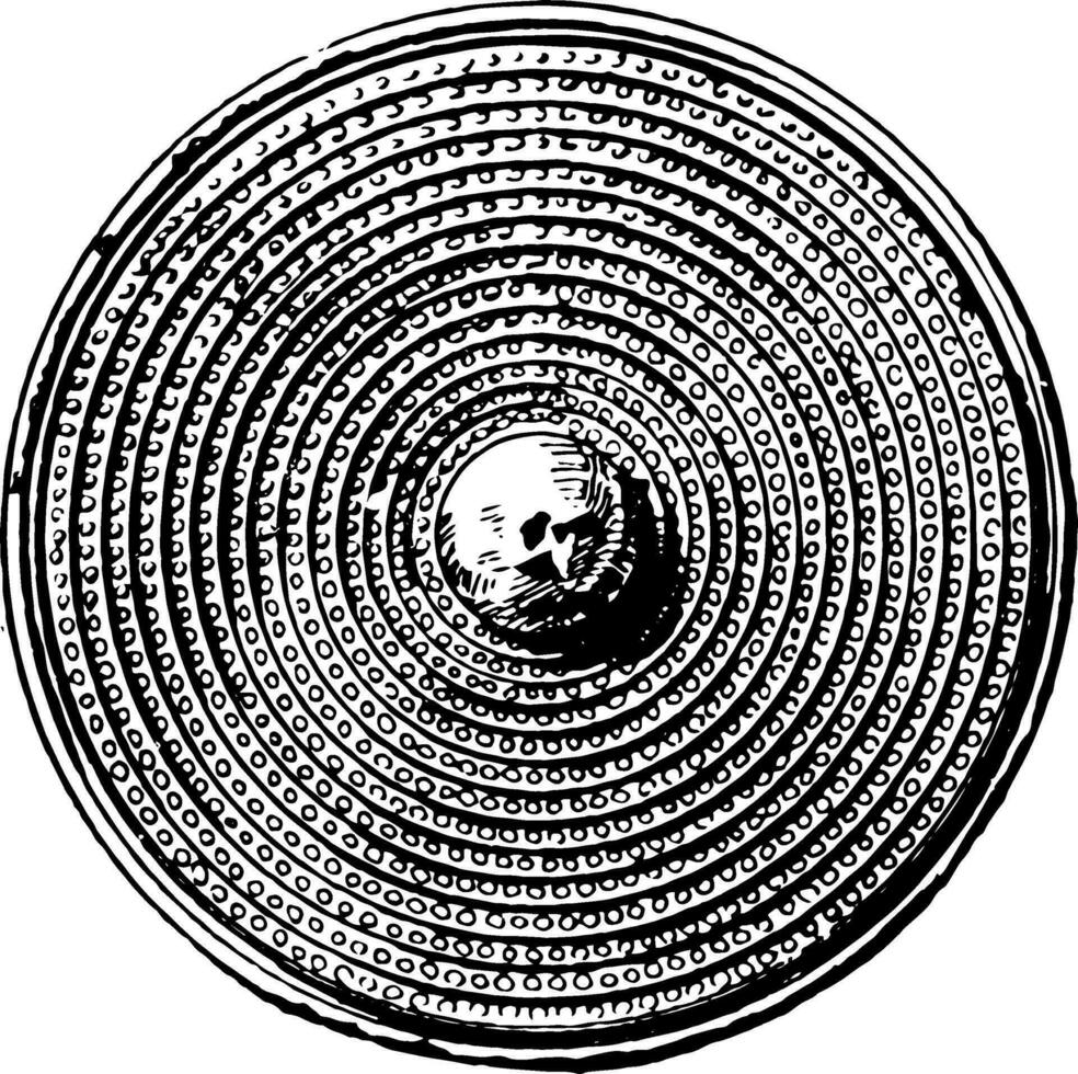 Bronze Age shield vintage illustration. vector