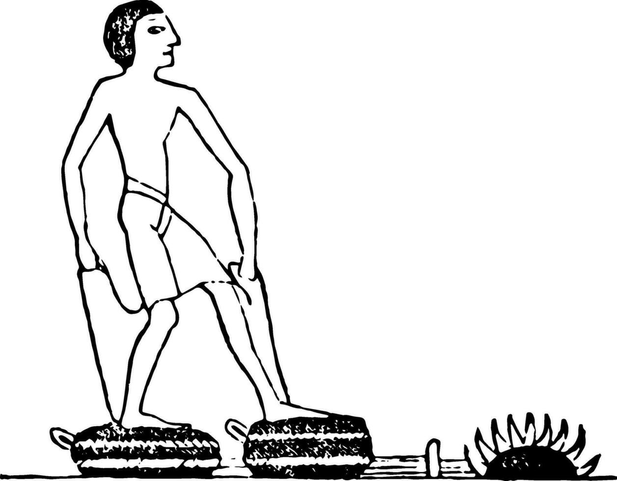 Bellows, vintage illustration. vector