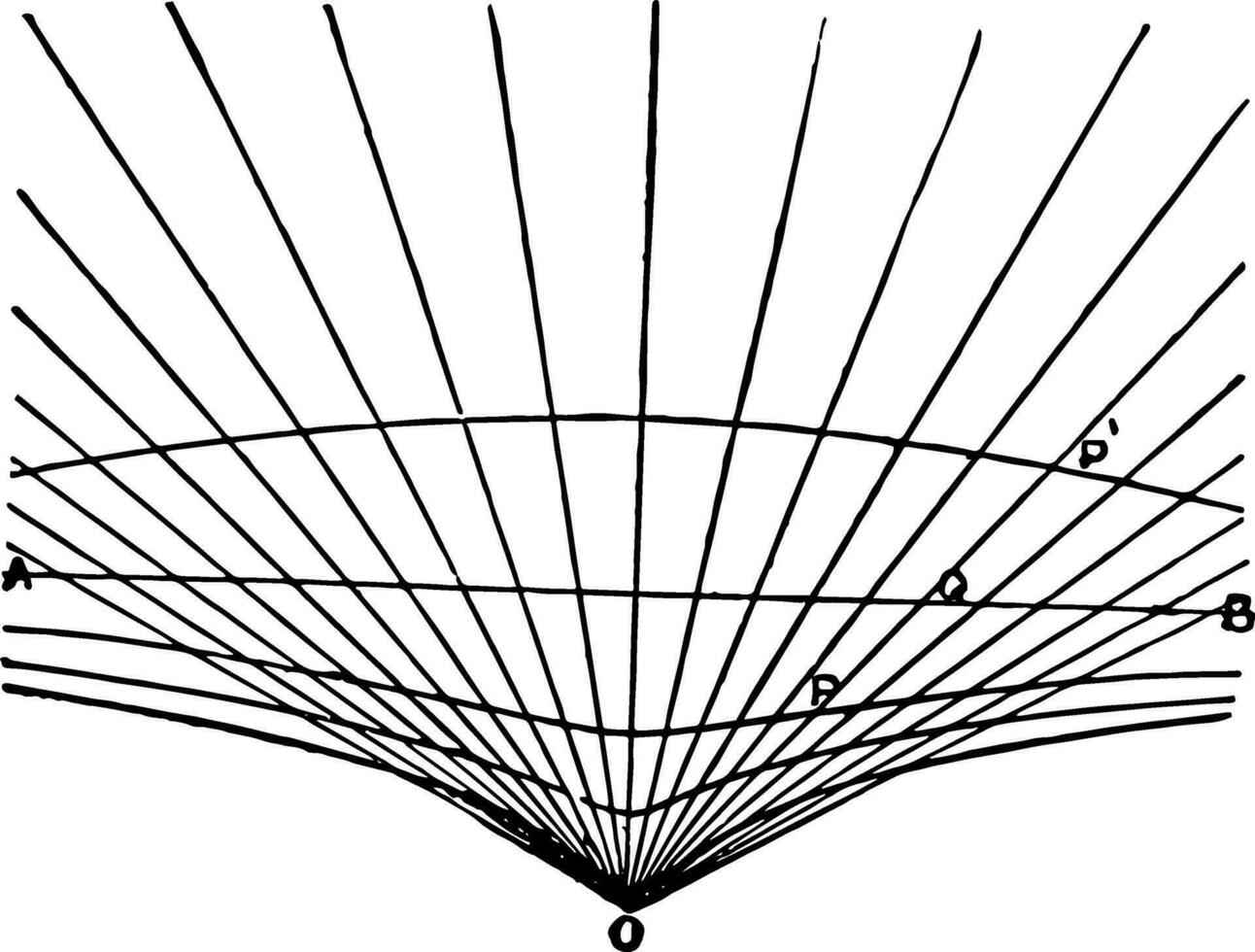 Conchoid vintage illustration. vector