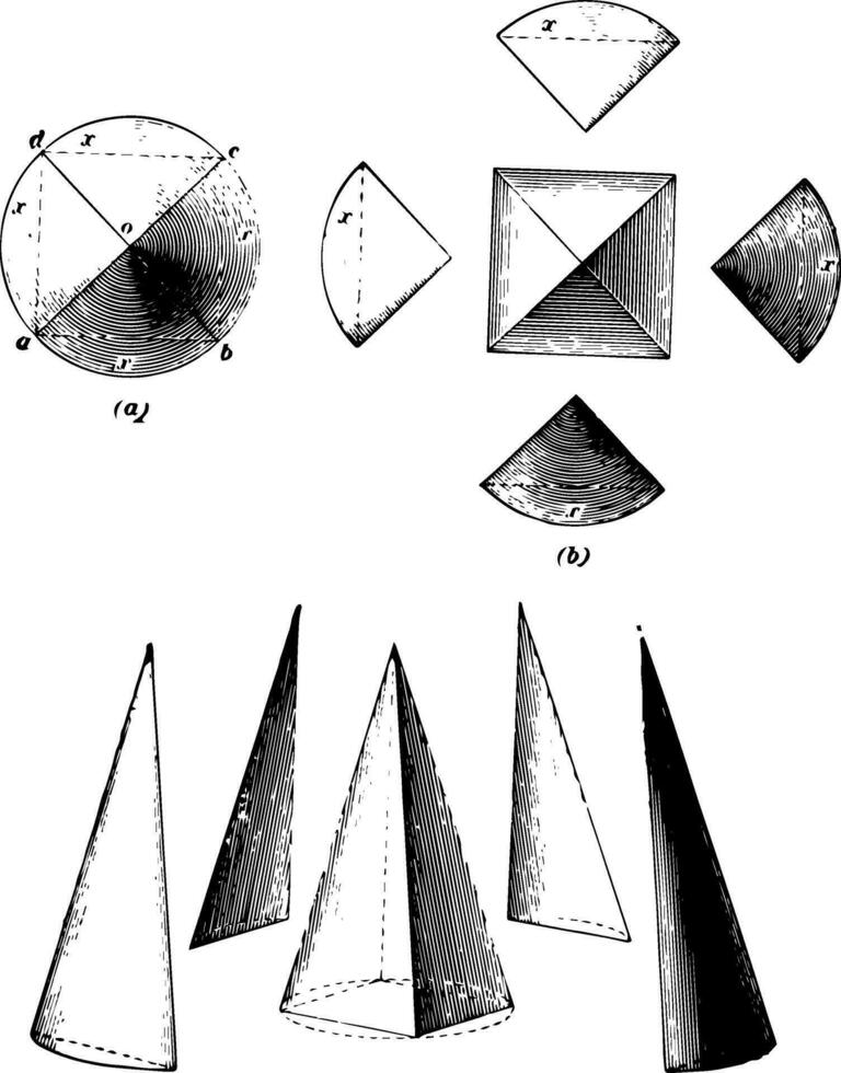 Relation Of Pyramid To Cone vintage illustration. vector