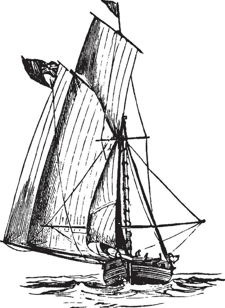 Ringtail Sailboat, vintage illustration. vector
