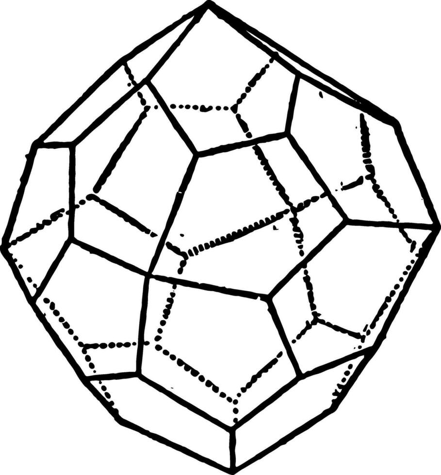 Pentagonal Icositetrahedron vintage illustration. vector