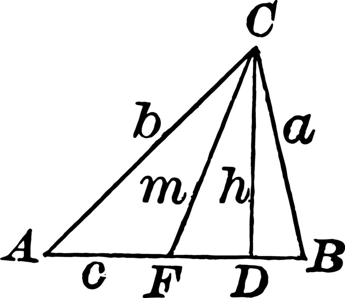 Triangle With Height and Median vintage illustration. vector