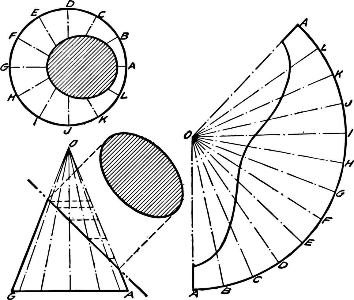 Development of Cone vintage illustration. vector