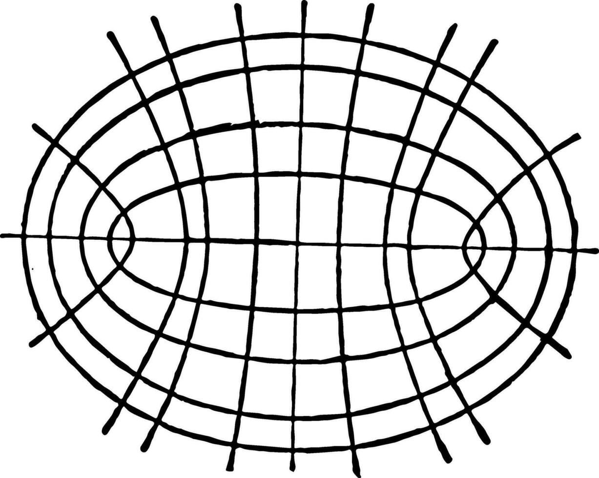 Confocal Curves
 vintage illustration. vector