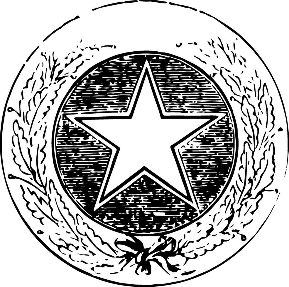 Texas seal vintage illustration vector
