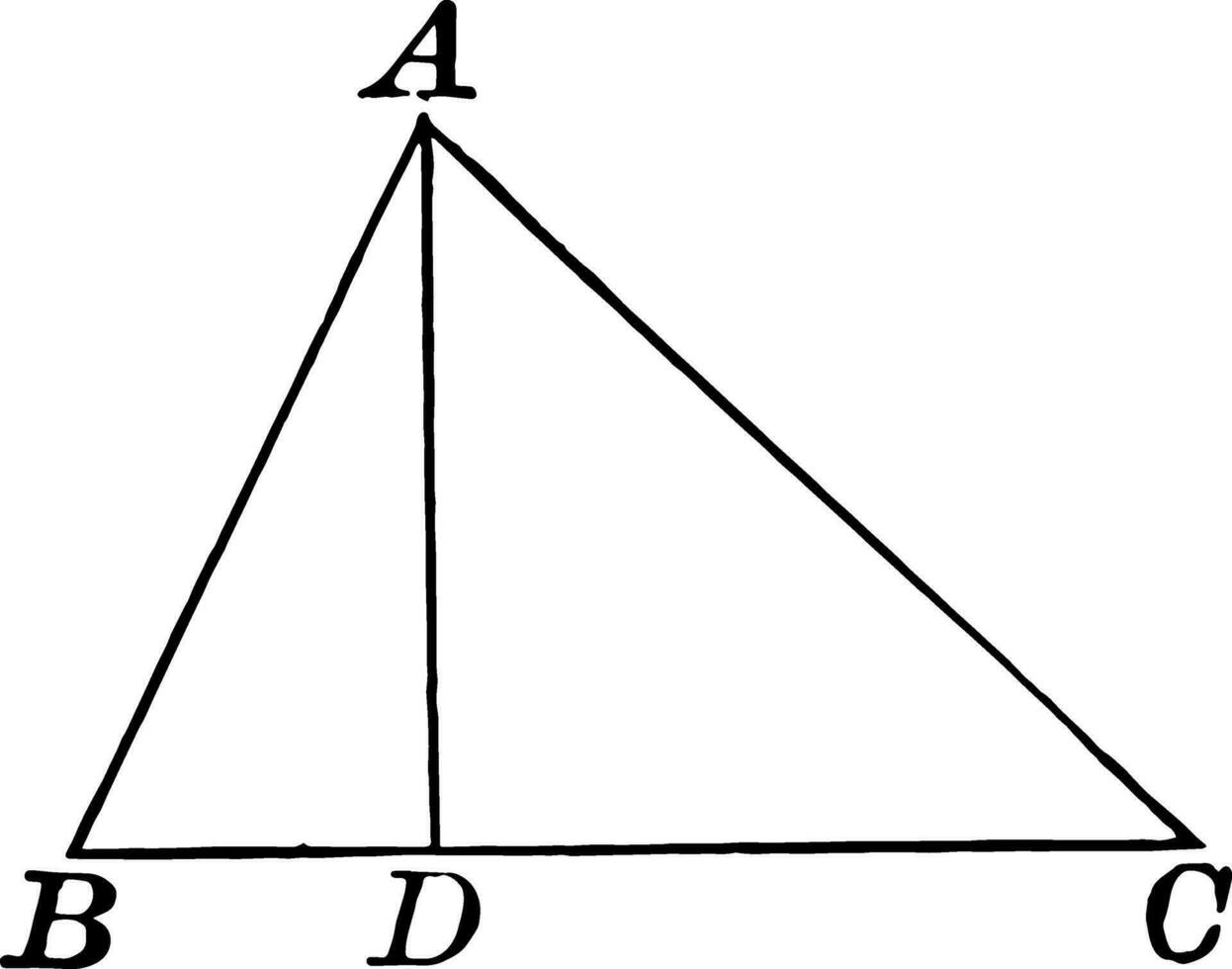 Triangle With Interior Segment vintage illustration. vector