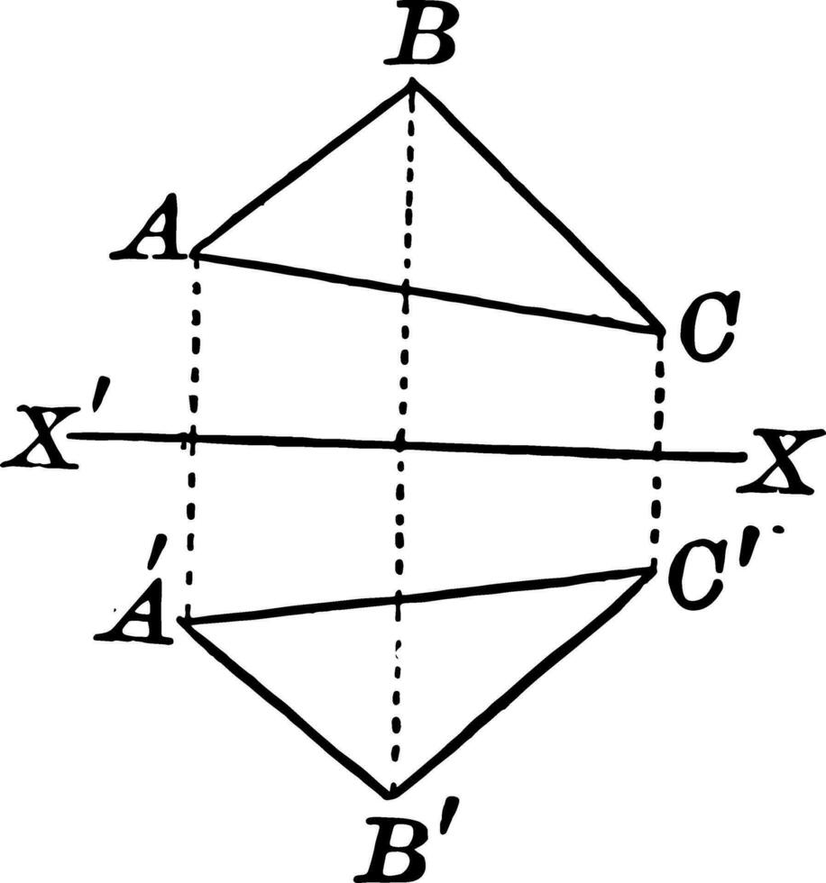 Axis of Symmetry Drawn on a Quadrilateral vintage illustration. vector