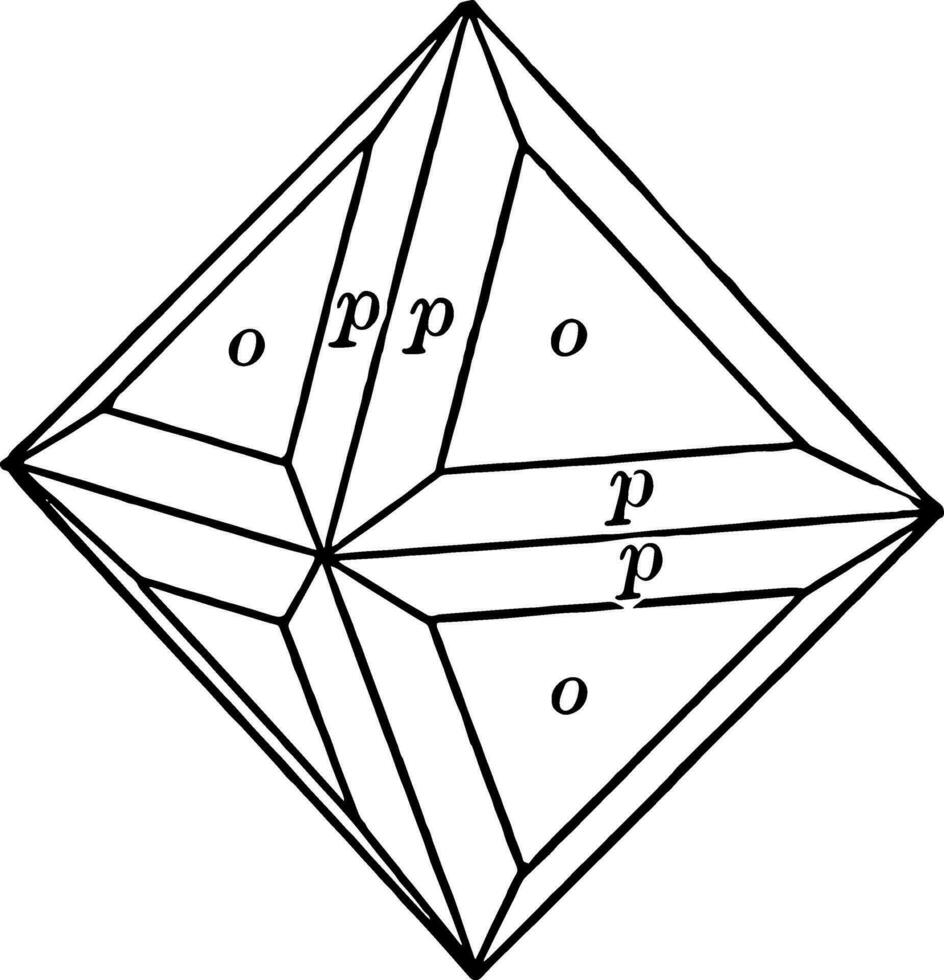 Octahedron and trisoctahedron vintage illustration. vector